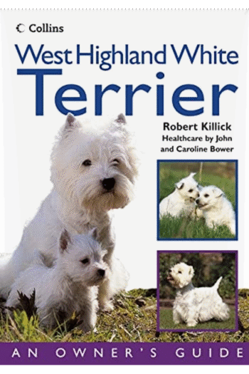West Highland White Terrier