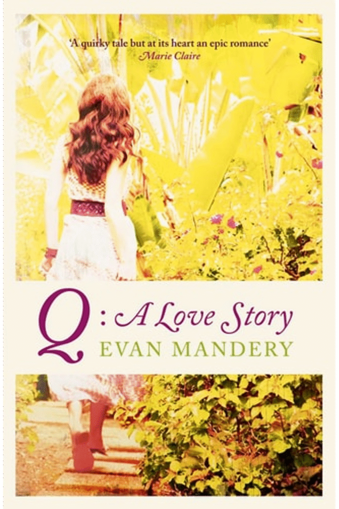 Q: A Love Story. Evan Mandery