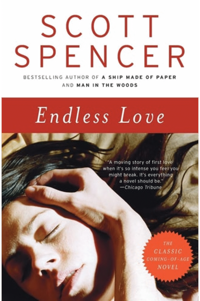 Endless Love: A Novel