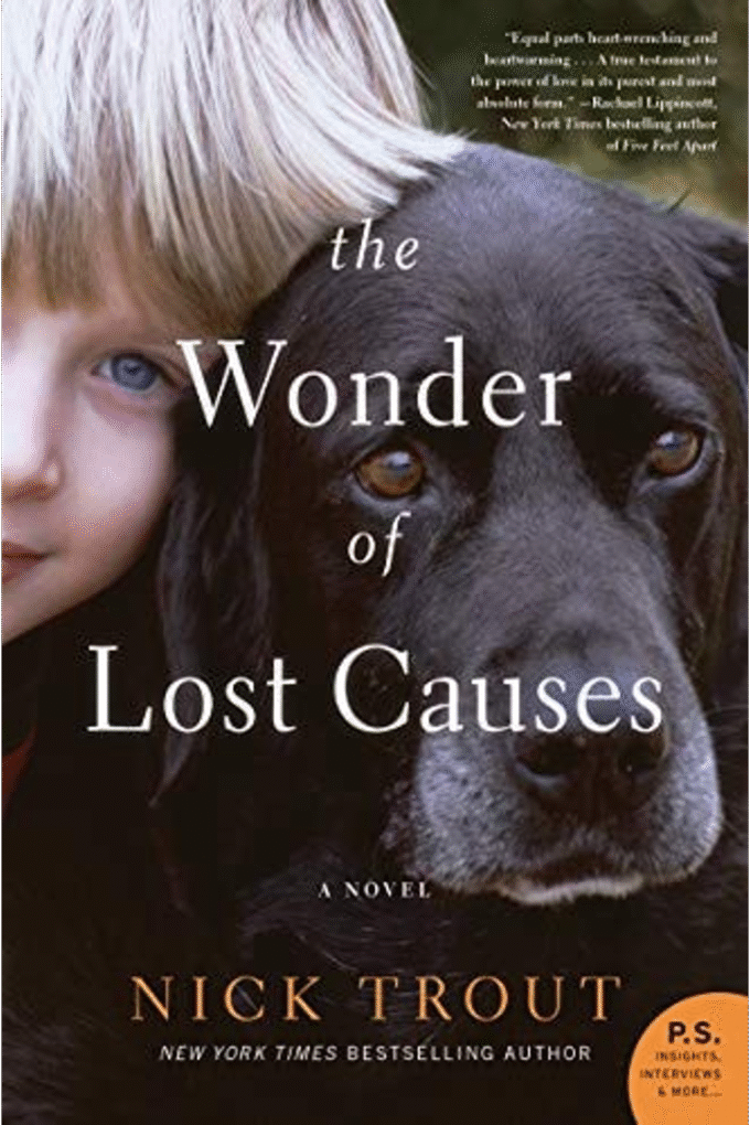 The Wonder of Lost Causes: A Novel
