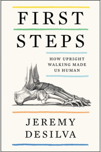 First Steps: How Upright Walking Made Us Human