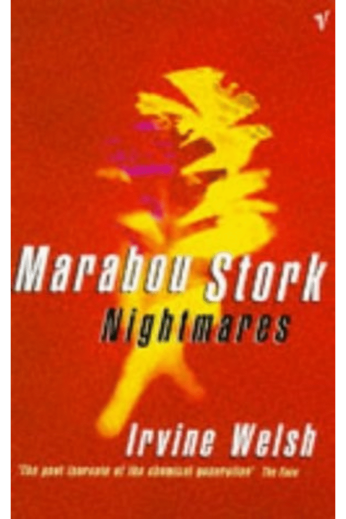 Marabou-stork-nightmares