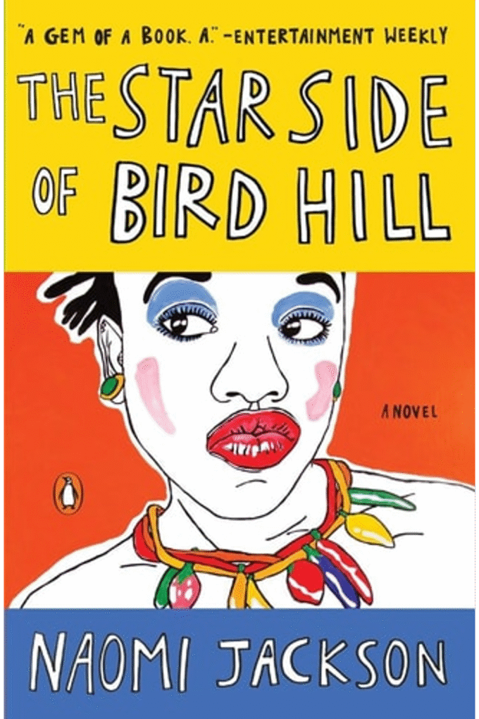 The Star Side of Bird Hill: A Novel