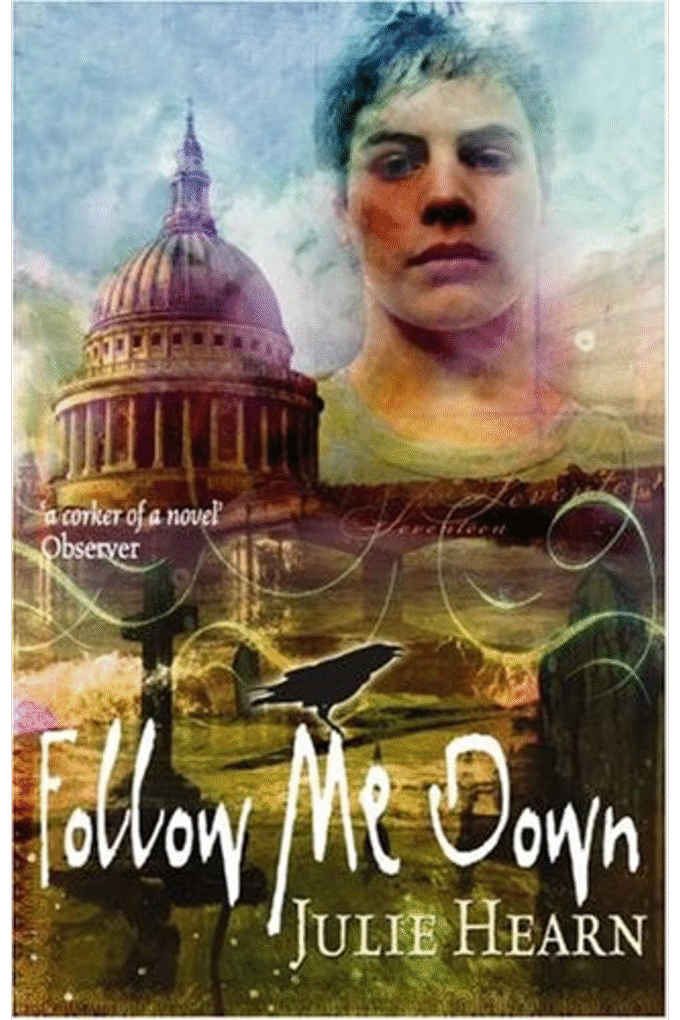 Follow Me Down [UK Edition of 'Sign of the Raven']