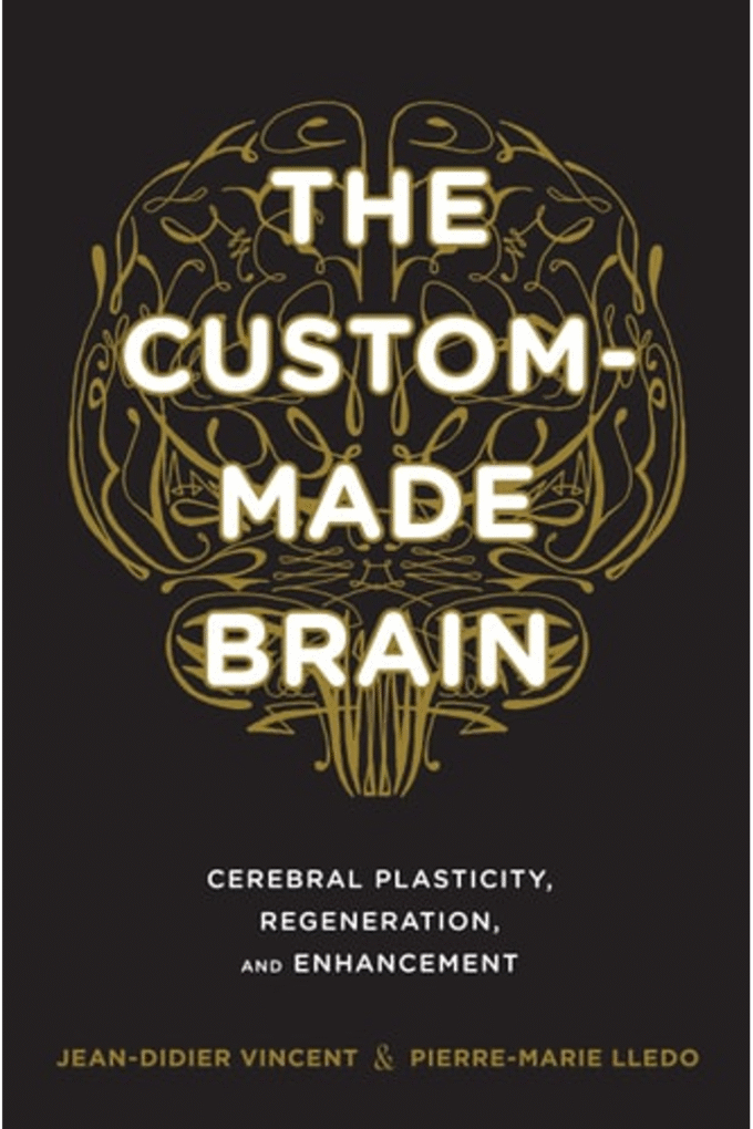 The Custom-Made Brain: Cerebral Plasticity, Regeneration, and Enhancement