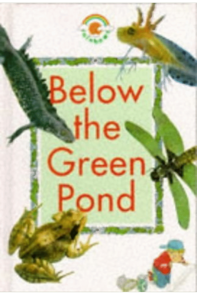 Below the Green Pond (Rainbows)