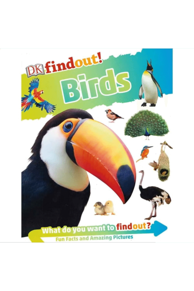 DKfindout! Birds KS1