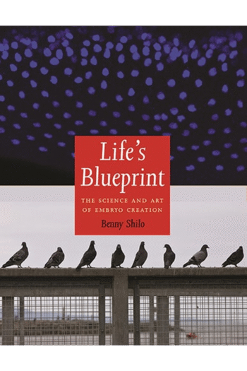 Life's Blueprint: The Science and Art of Embryo Creation