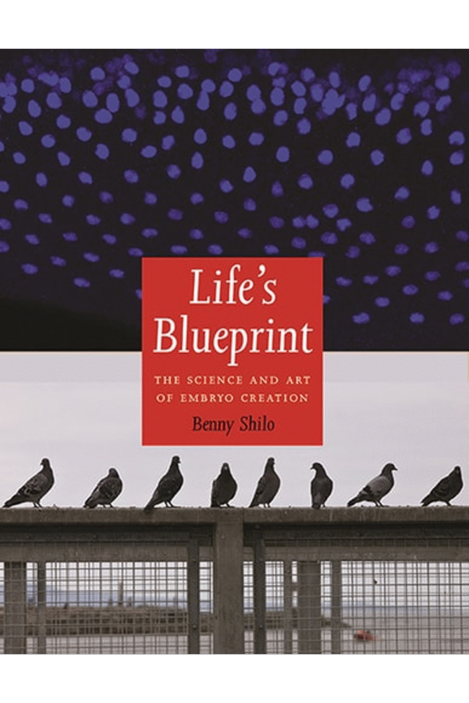Life's Blueprint: The Science and Art of Embryo Creation