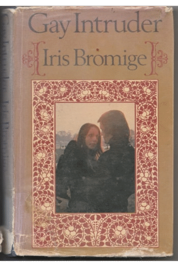 Gay Intruder (Coronet Books)