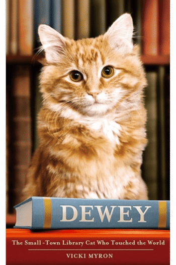 Dewey: A Small Town, a Library and the World's Most Beloved Cat