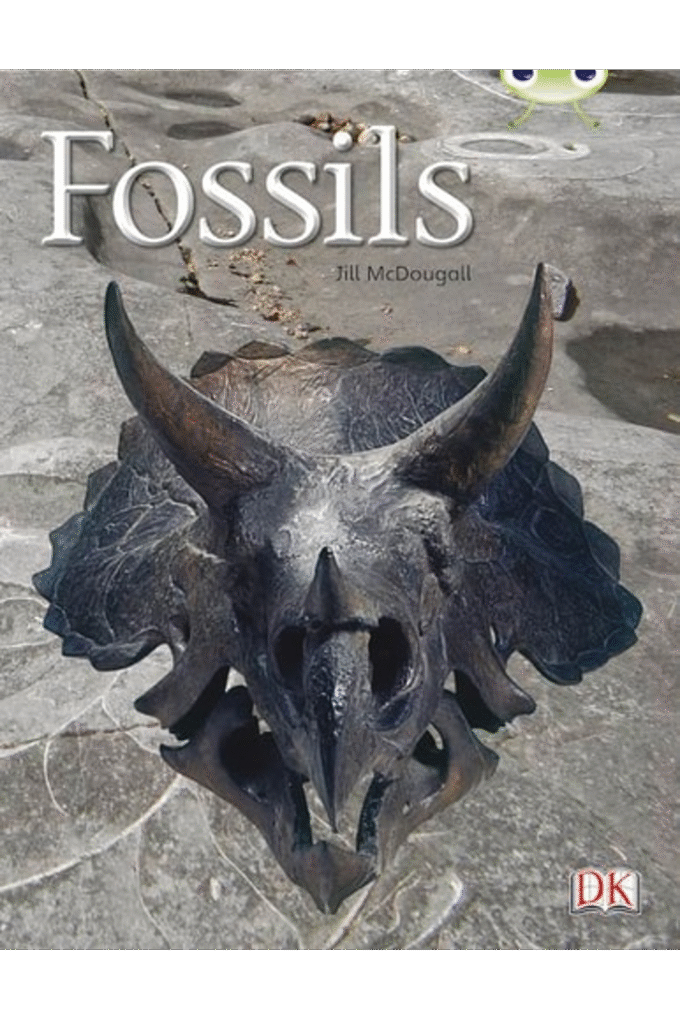 Fossils Gold 1