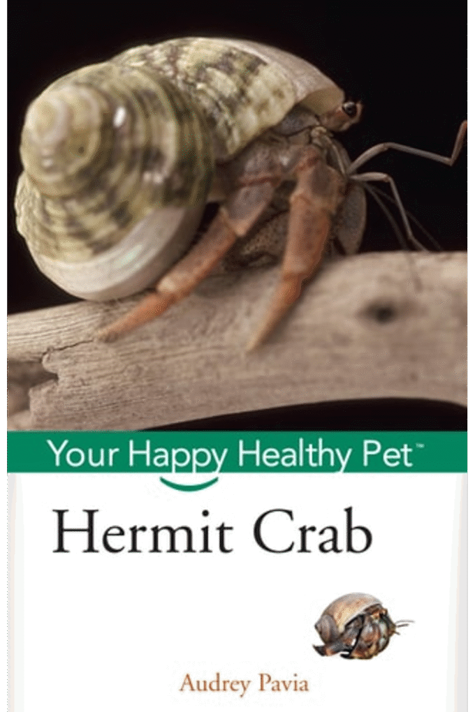Hermit Crab: Your Happy Healthy Pet (Happy Healthy Pet, 51)