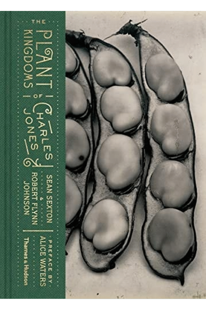 The Plant Kingdoms of Charles Jones