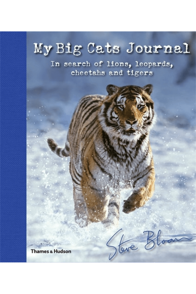 My Big Cats Journal: In Search of Lions, Leopards, Cheetahs and Tigers