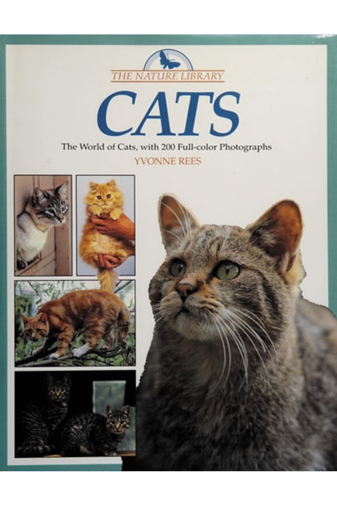 Nature Library: Cats*