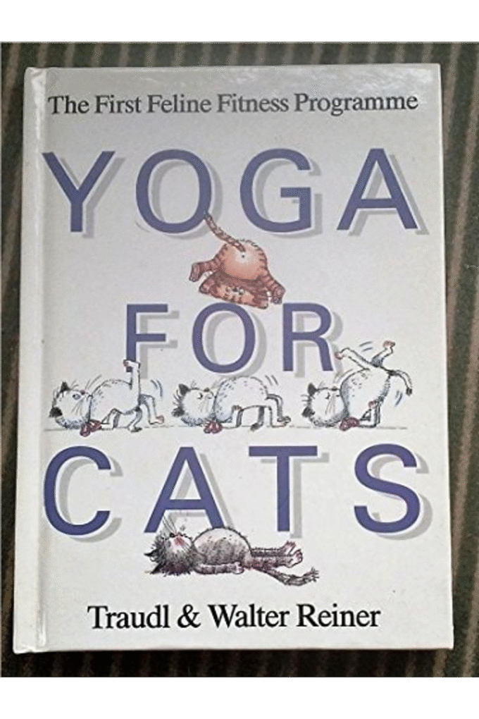 Yoga for Cats