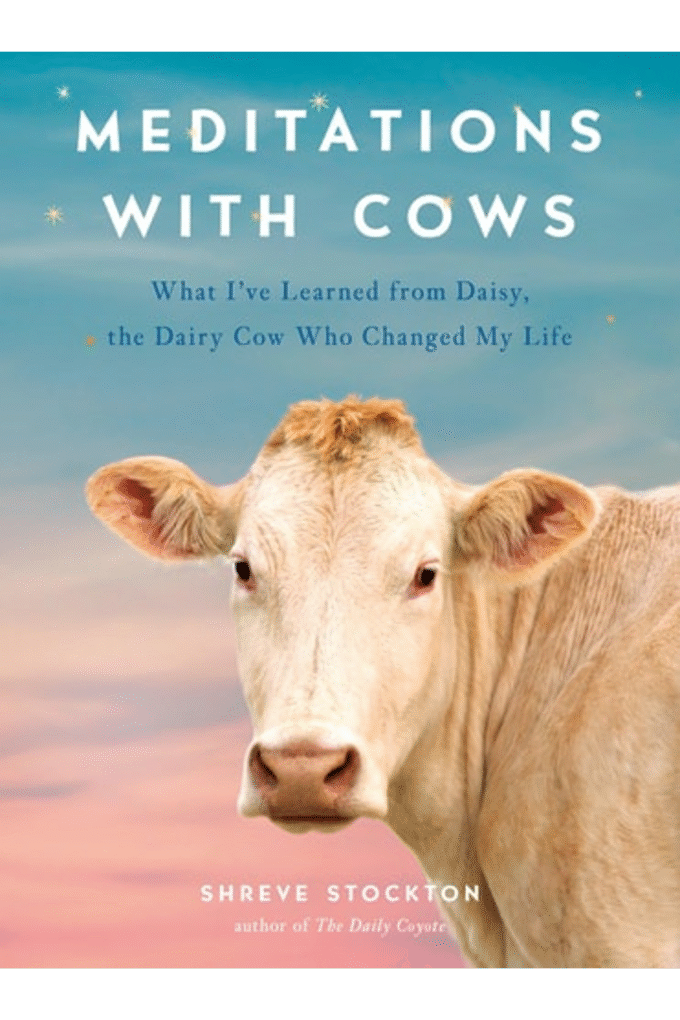 Meditations with Cows: What I've Learned from Daisy, the Dairy Cow Who Changed My Life