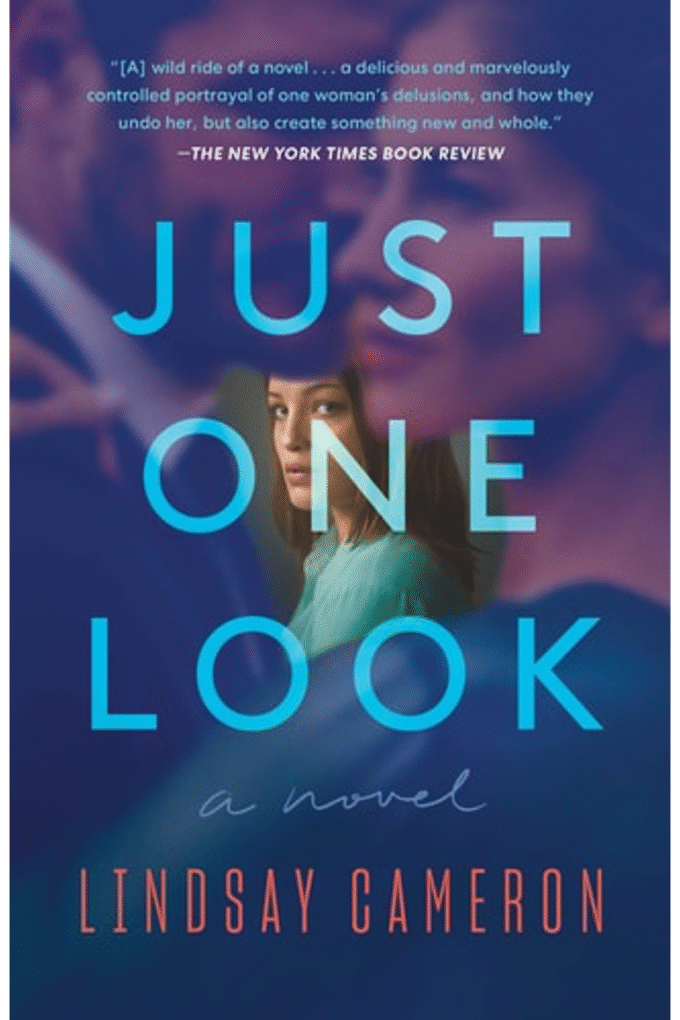 Just One Look: A Novel