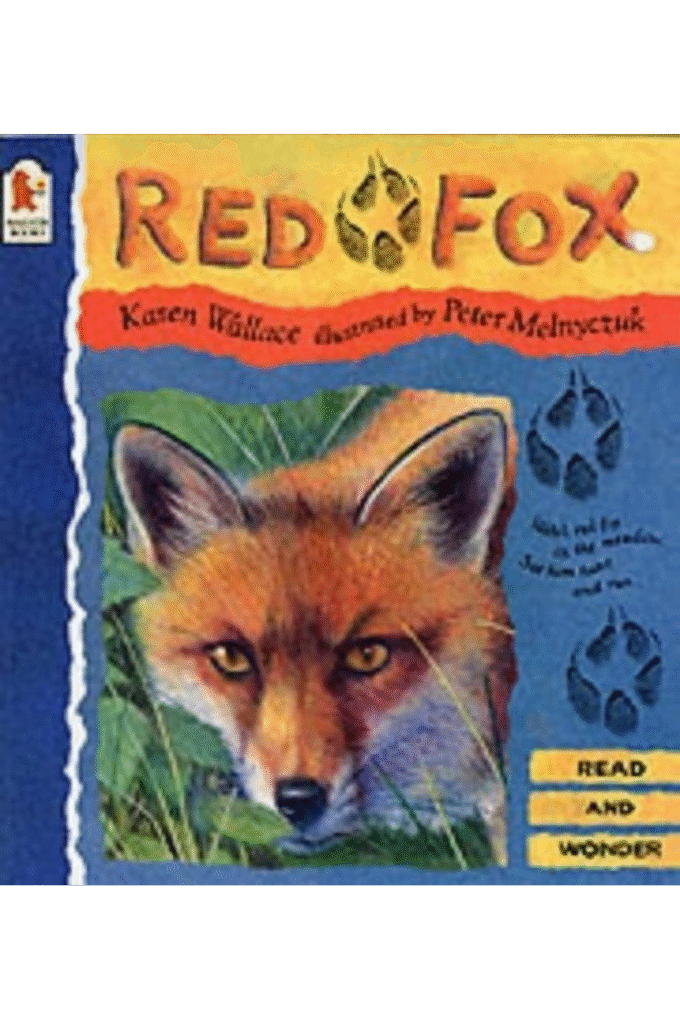 Red Fox