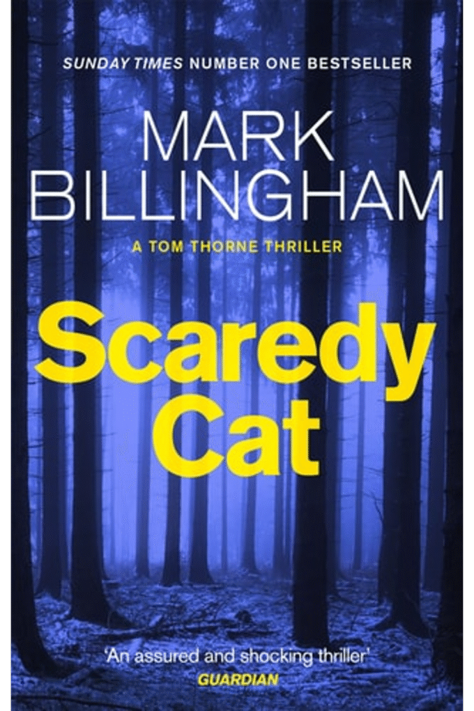 Scaredy Cat