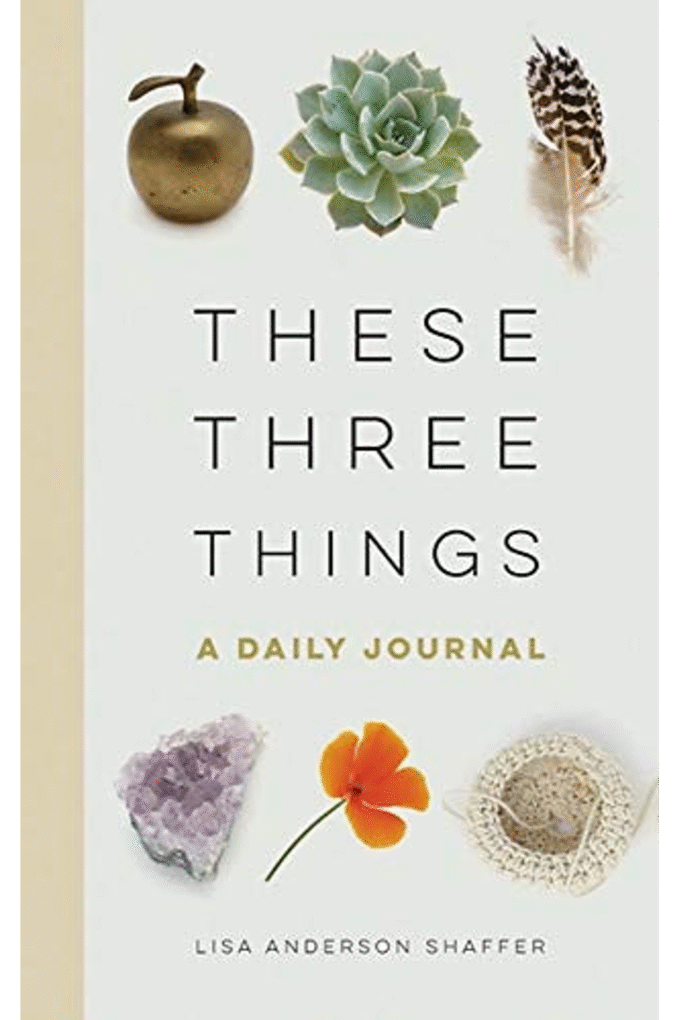 These Three Things: A Daily Journal