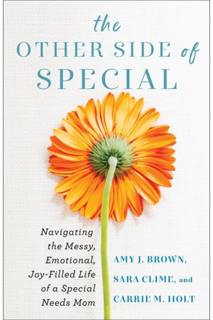 Other Side of Special: Navigating the Messy, Emotional, Joy-Filled Life of a Special Needs Mom