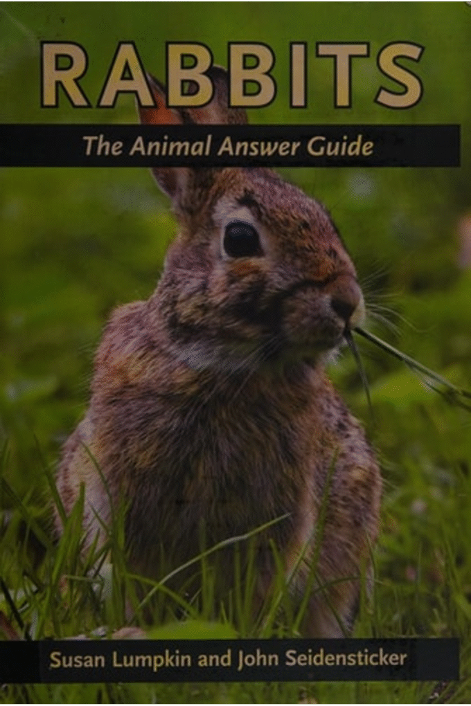 Rabbits: The Animal Answer Guide (The Animal Answer Guides: Q&A for the Curious Naturalist)