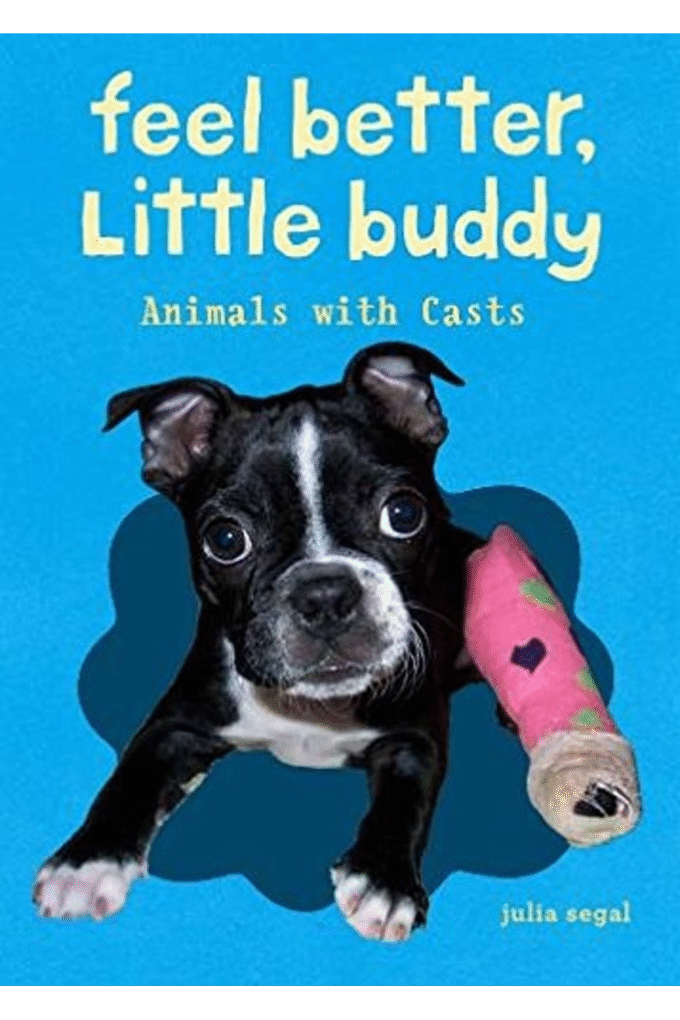 Feel Better, Little Buddy: Animals with Casts