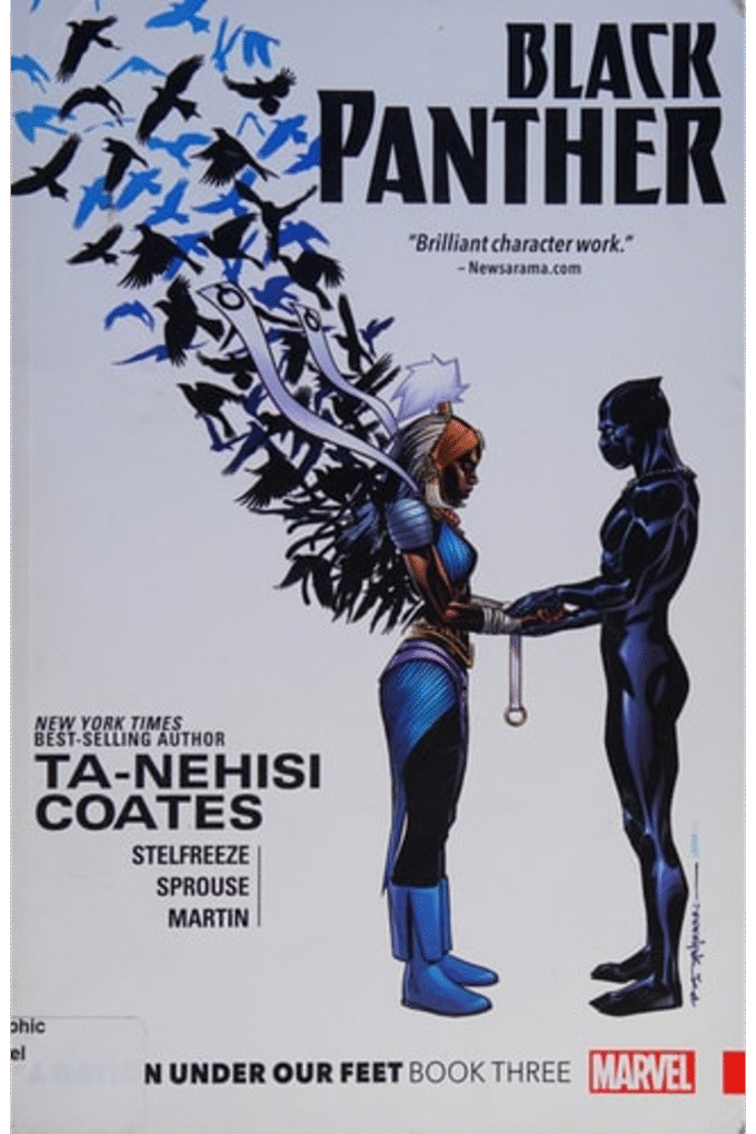 BLACK PANTHER: A NATION UNDER OUR FEET BOOK 3