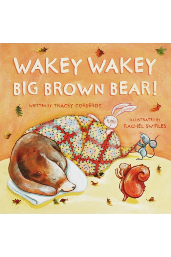 Wakey Wakey Big Brown Bear (Picture Story Book)