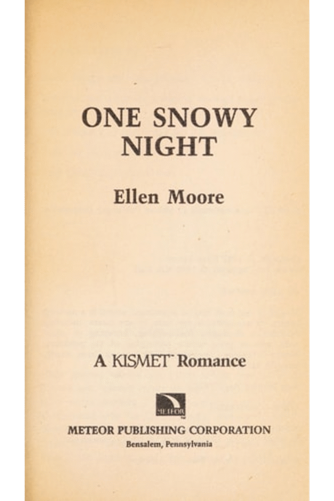 One Snowy Night