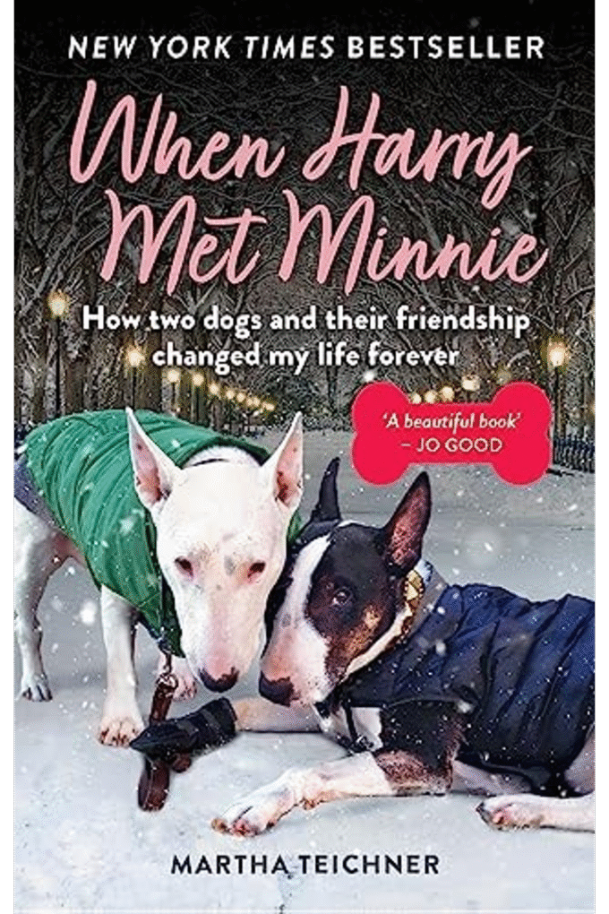 When Harry Met Minnie: An unexpected friendship and the gift of love beyond loss