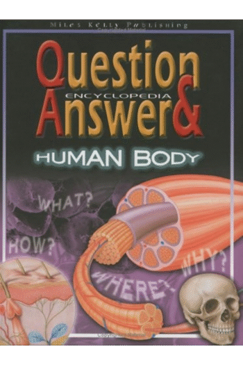 Human Body