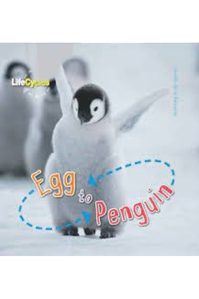 Egg to Penguin Lifecycles