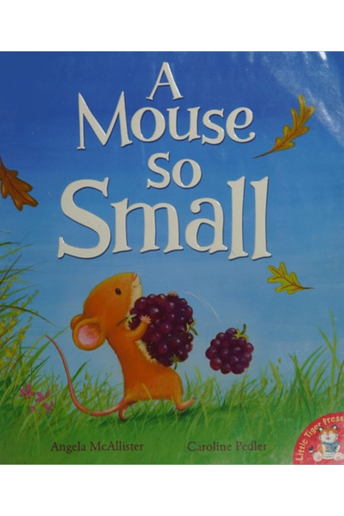 A Mouse So Small