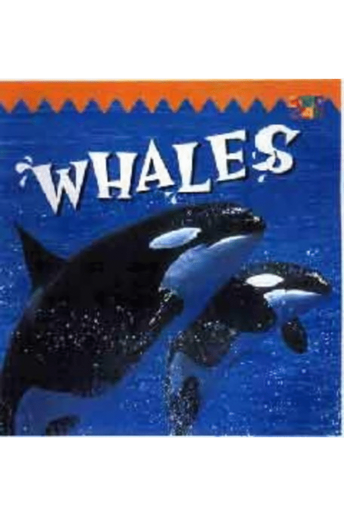 Look Out: Whales (Look Out)