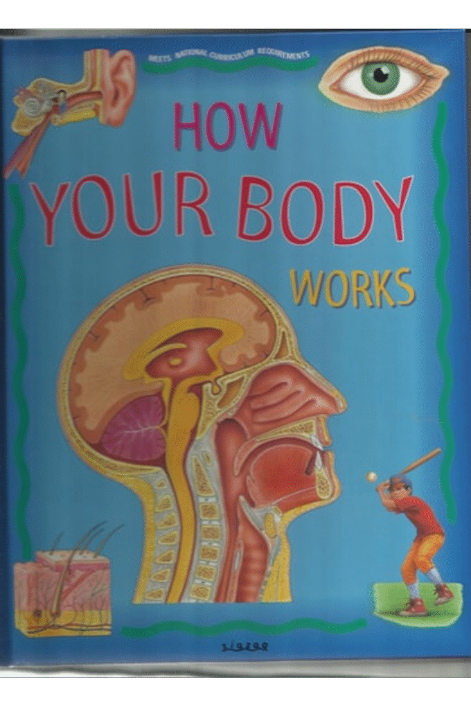 How Your Body Works