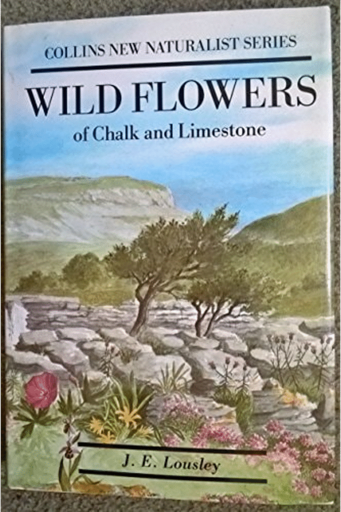 Wild Flowers of Chalk & Limestone