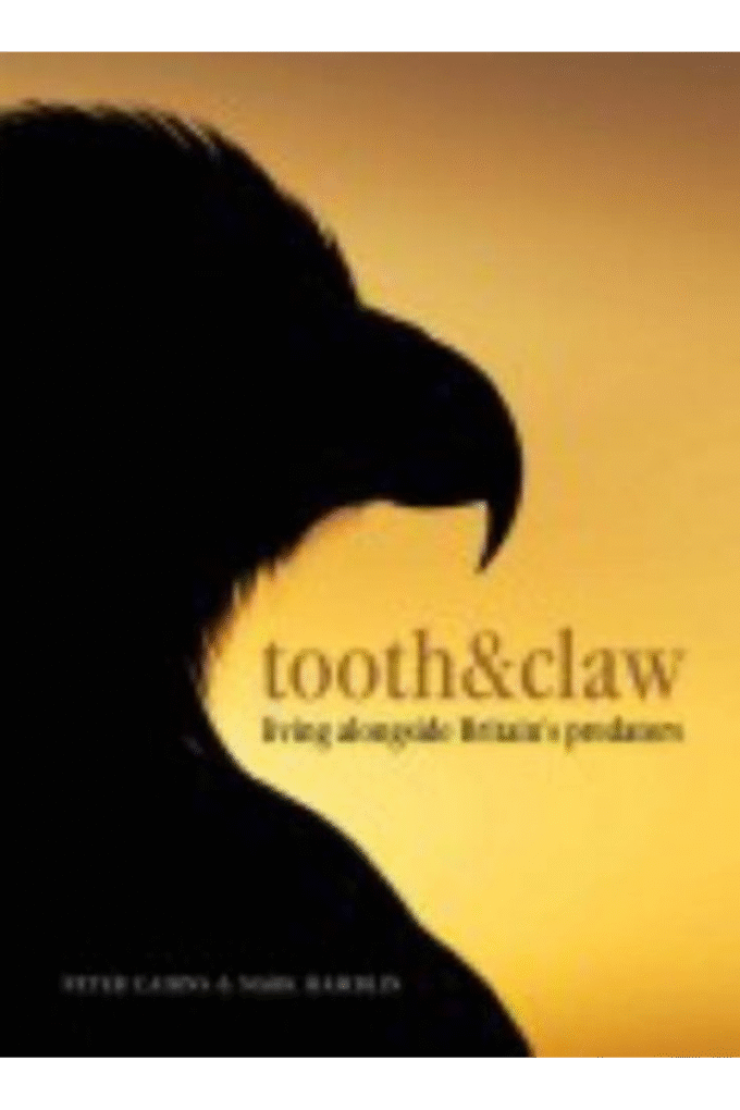 Tooth & Claw: Living Alongside Britain's Predators