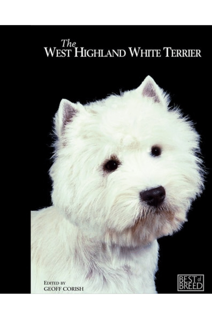 The West Highland White Terrier (Best Of Breed)