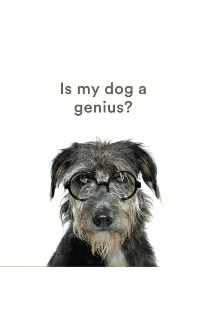 Is My Dog a Genius