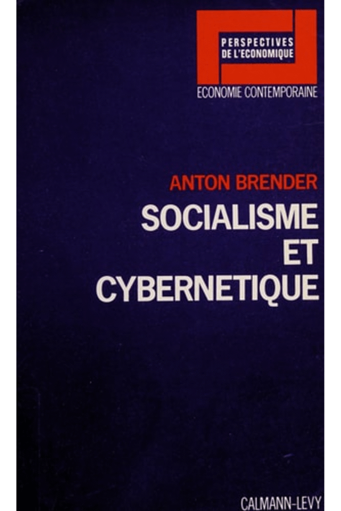 Socialisme et cybernetique (Perspectives de l'economique) (French Edition)