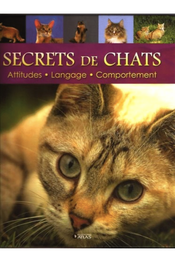 Secrets de chats