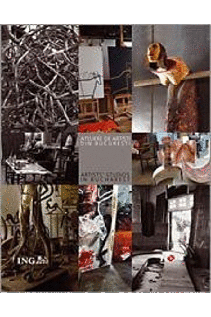 Ateliere de artisti din Bucuresti, Vol I (Romanian Edition)